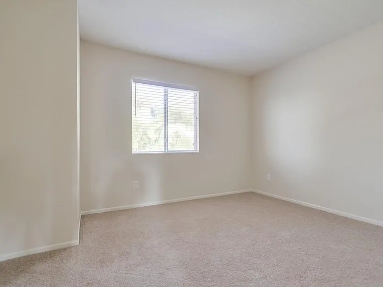 774 Camino Magnifico — Photo 16