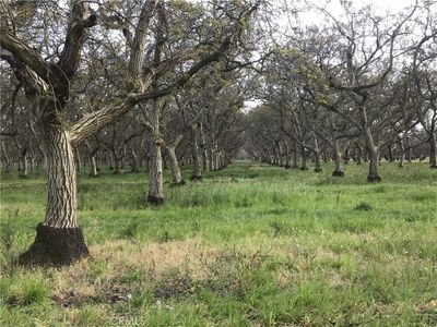 0 Larkin Rd #10, Biggs, CA, 95917