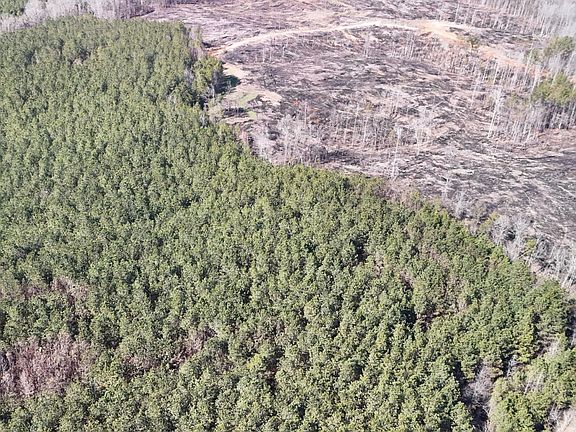 5th image of 0 Tree Farm Rd