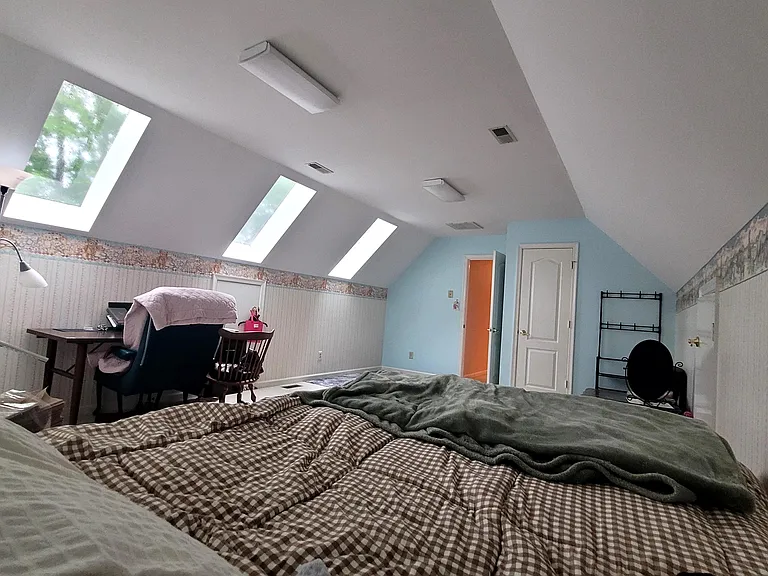 Frog/ Overgarage room with Skylights