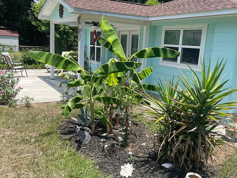 1603 Palmetto Dr #B — Photo 16