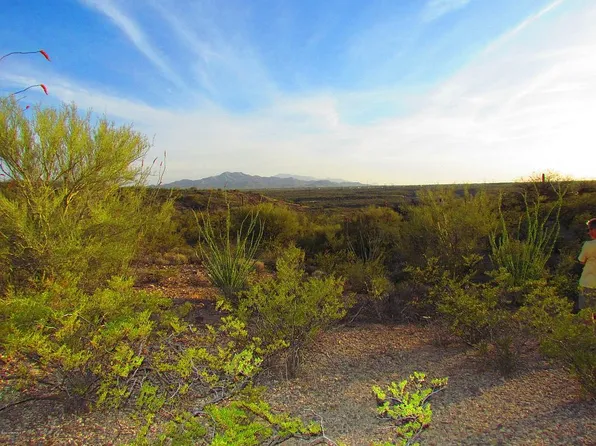 14970 E Blue Lava Trl, Vail, AZ 85641