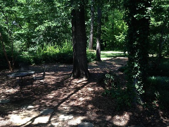 large backyard with trees