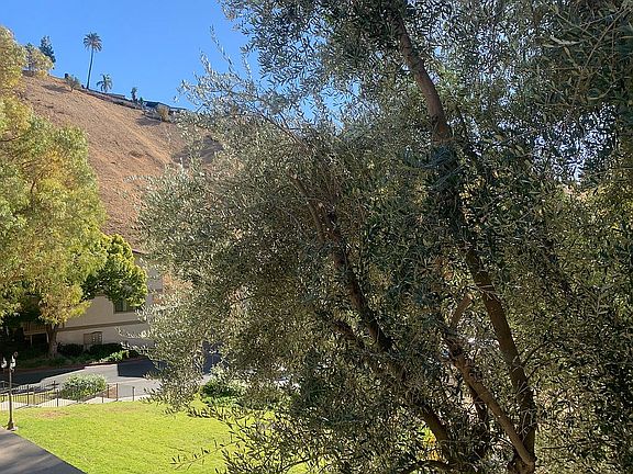 4th image of 26017 Alizia Canyon Dr Unit E