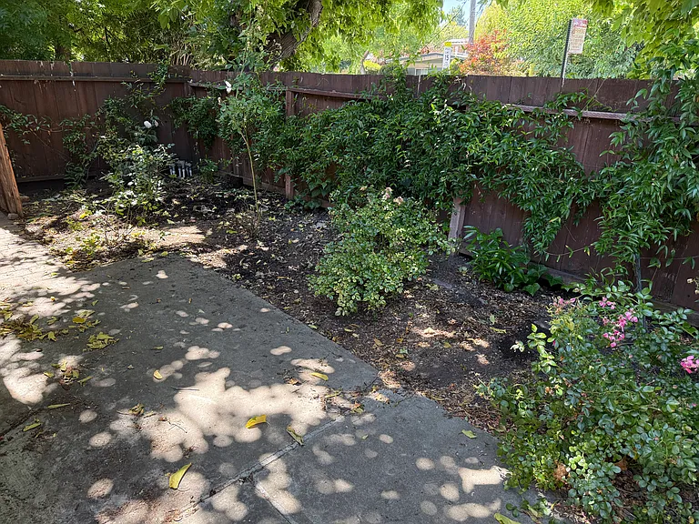 517C Thompson Ave — Photo 7