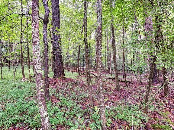 2nd image of 200 Jolly Pond Rd