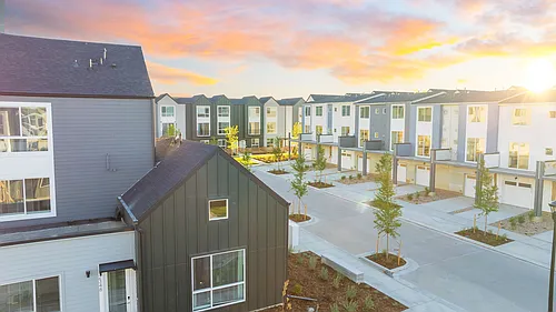 Lupine Longmont Photo 1