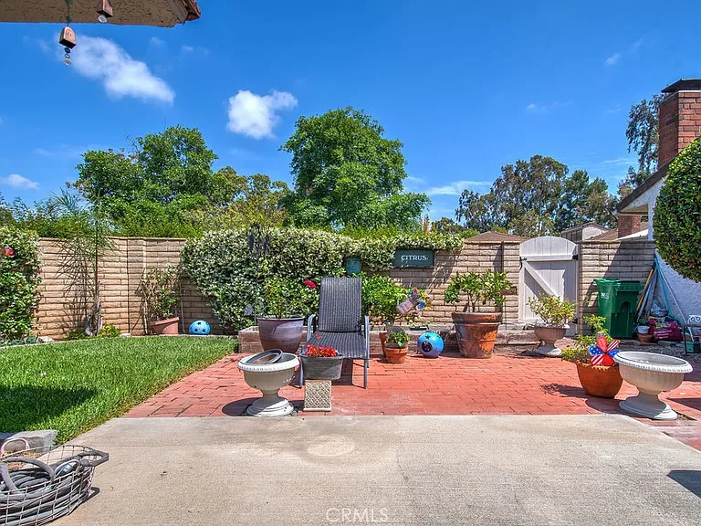 17252 Citron — Photo 47