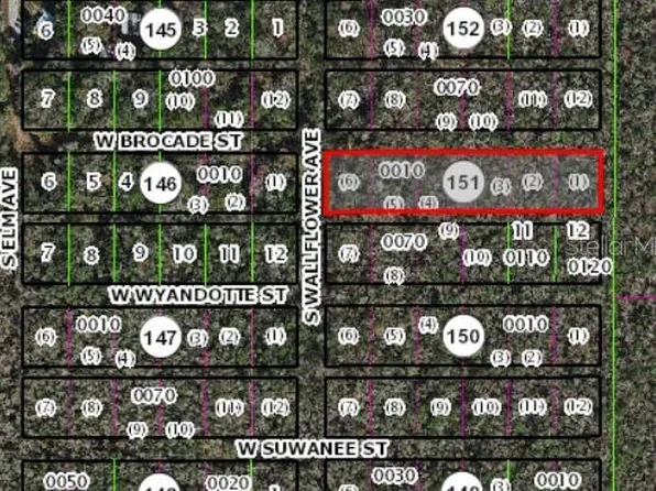 10006 W Brocade St #1, Homosassa, FL 34448