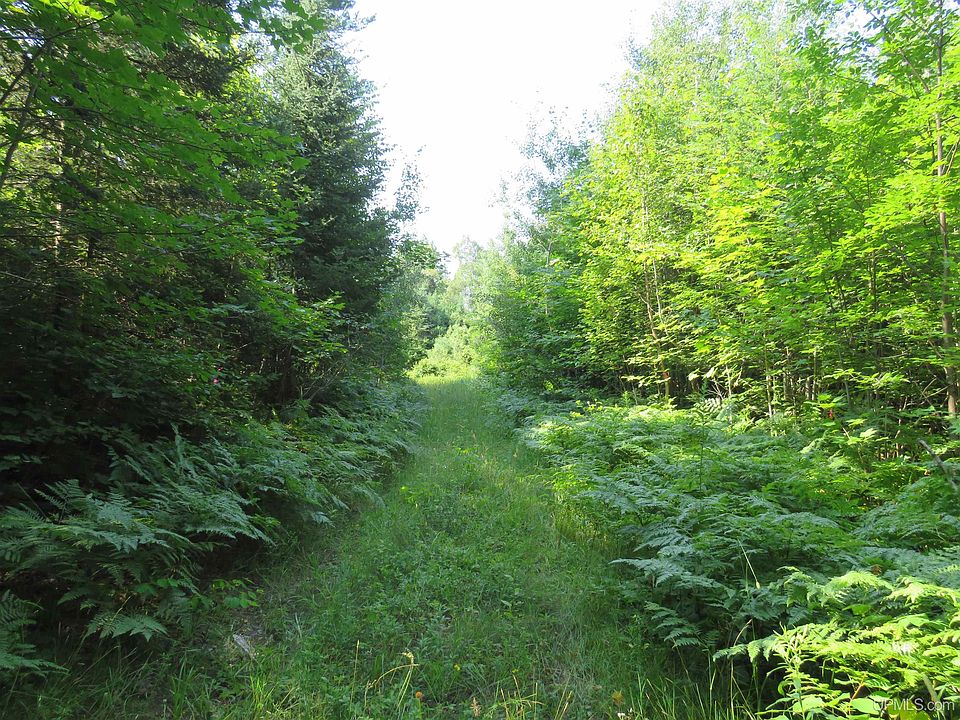 40th image of Off King Lake Rd