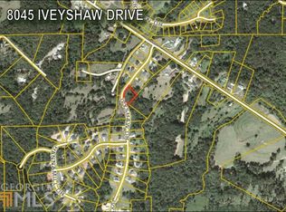 8045 Ivyshaw Dr, Gainesville, GA 30506