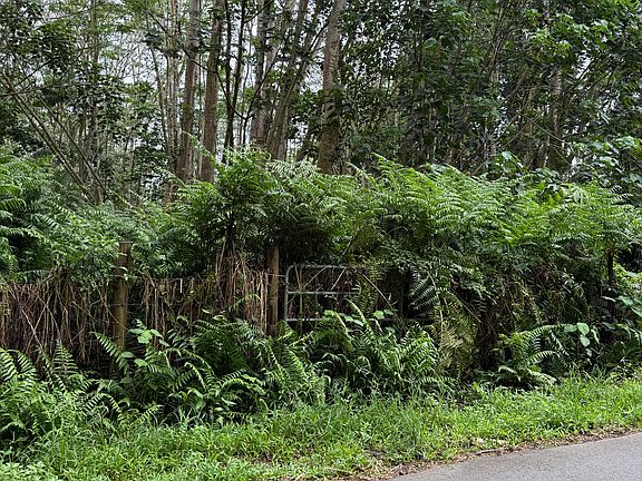 2nd image of Pahoa Rd Lot 17