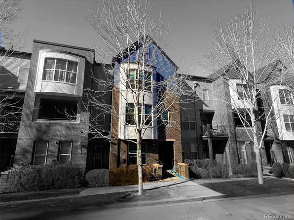 449 S Reed Street, Lakewood, CO 80226
