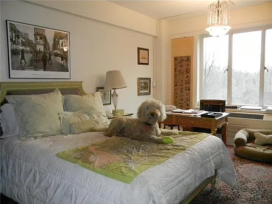 Rented by essential NEW YORK Real Estate | media 14