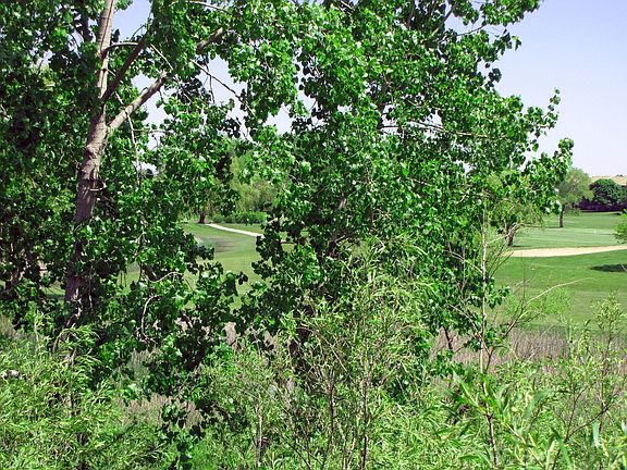 Golf Course view from deck
