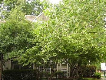 1st image of 7602 Willow Point Dr #7602