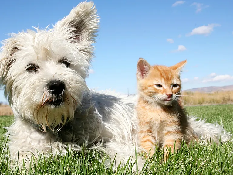 At Eden Pointe, we know pets are family - that's why we welcome pets of all sizes!