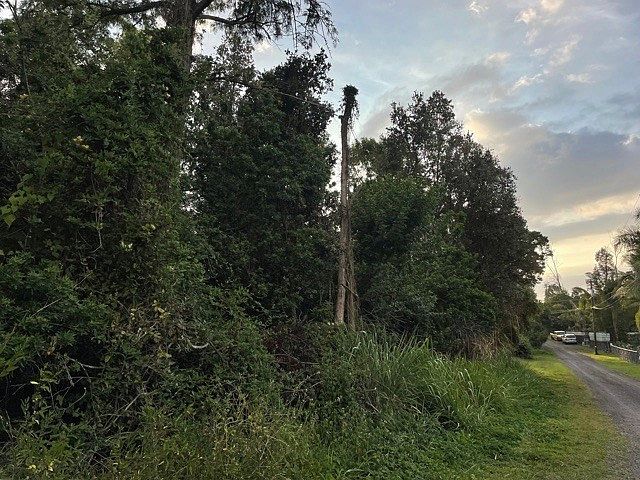2nd image of Lot 28