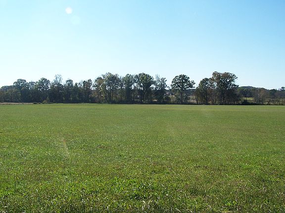 2nd image of 13467 Alabama Hwy