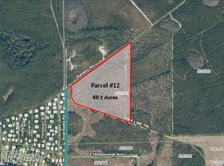 2184 S Bellamy Rd, Florahome, FL 32140