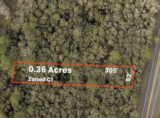 0 Treiman Blvd, Webster, FL 33597