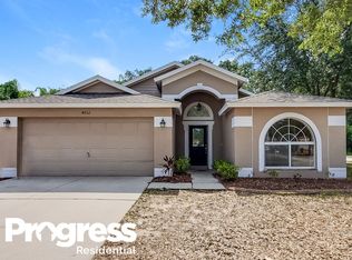4832 Copper Canyon Blvd, Valrico, FL 33594