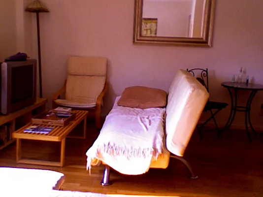 Rented by Eric Goodman Realty Corp | media 55