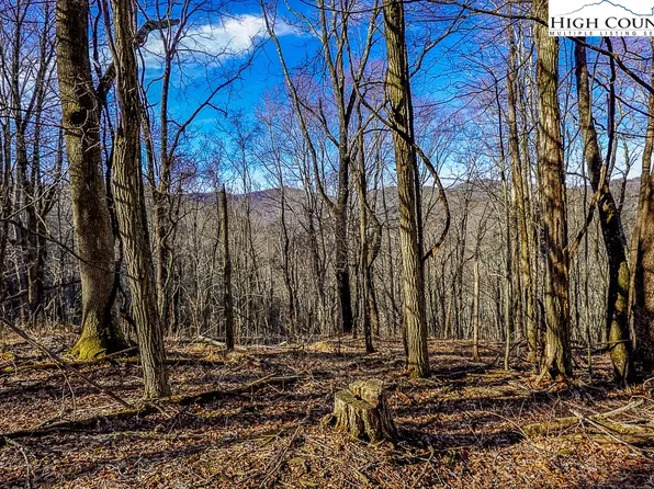 TBD Little Tree Lane, Banner Elk, NC 28604