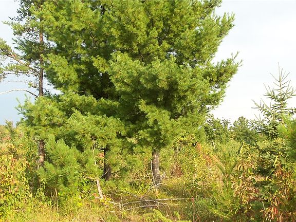 5th image of LOT 4 High Ridge Trail