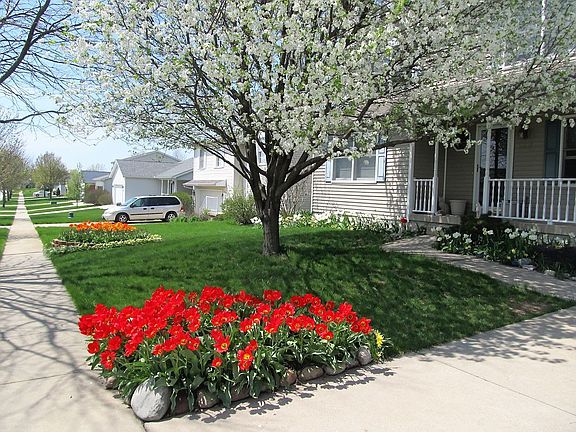 Spring Blooming Spectacular