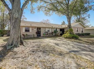5106 Lawnton Ct, Tampa, FL 33624