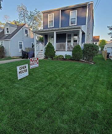 Professional lawn treatment