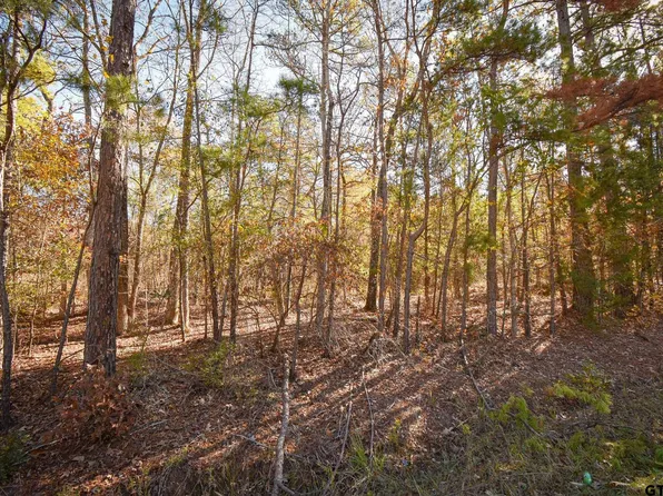 Big Oak Bay Rd Tract 3, Tyler, TX 75707