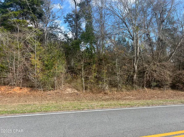 0 Salem Church Rd, Sneads, FL 32460