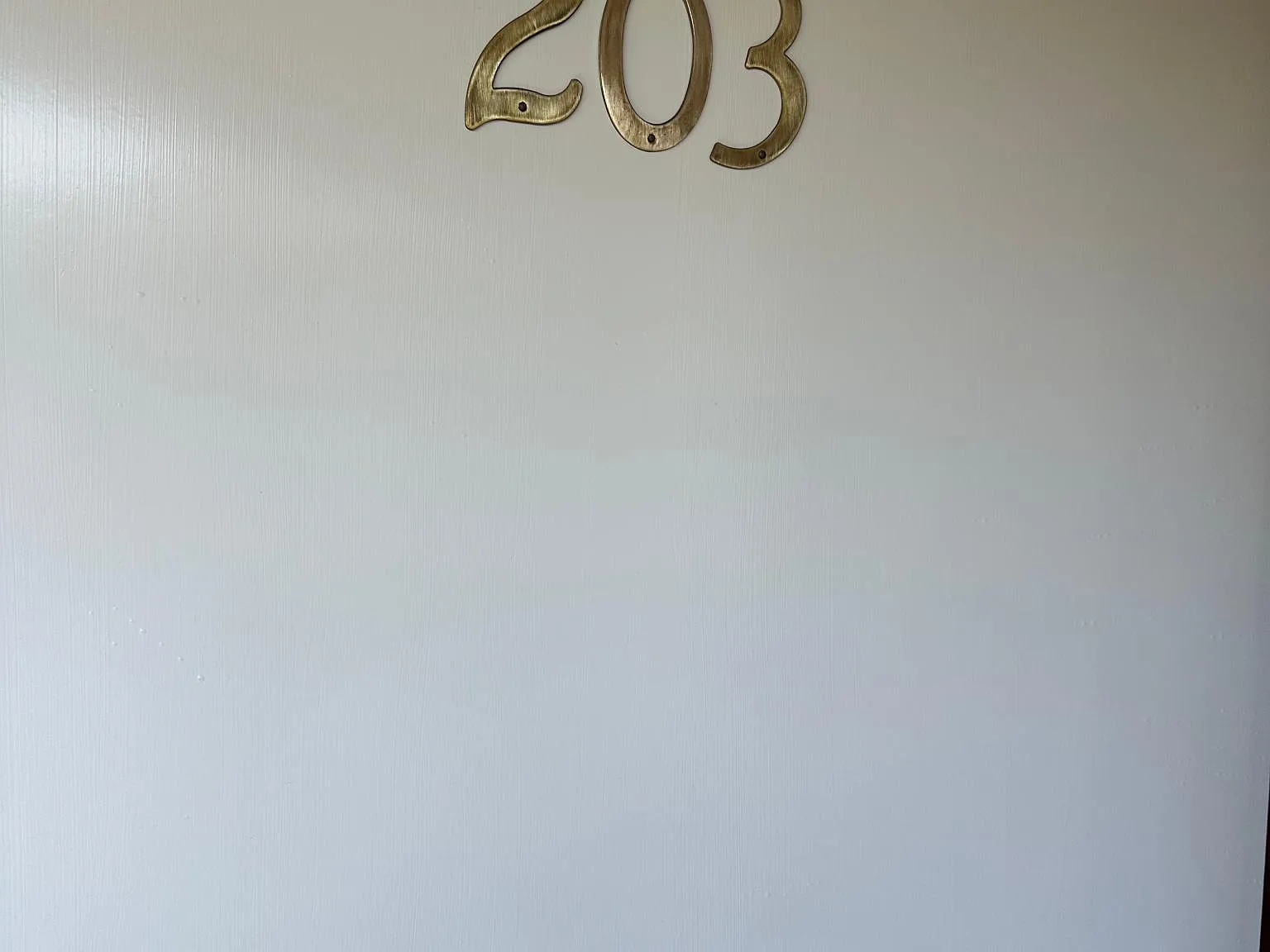 Studio, 325 sqft, $1,695 — Photo 1