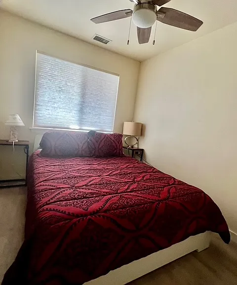 603 Verbena Dr — Photo 14