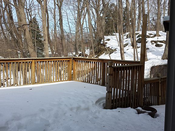 deck backing to woods