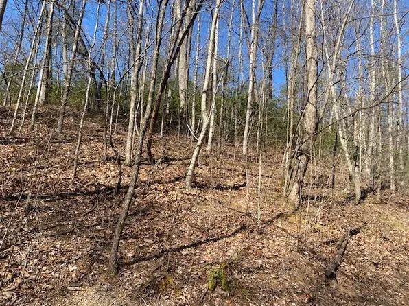 LOT-1765R Red Bud Rd, Sevierville, TN 37876
