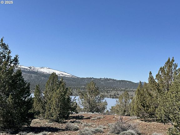 2nd image of Cyhoya Way