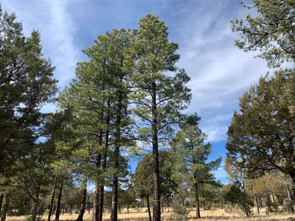 4871 Bald Eagle Way, Happy Jack, AZ 86024