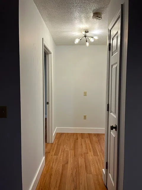 2 bed, 800 sqft, $1,450 — Photo 4