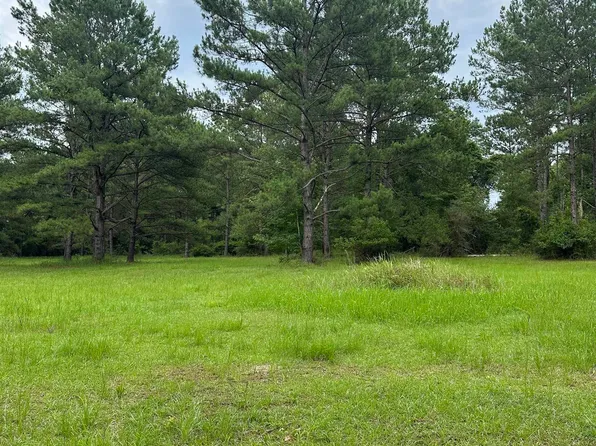 40140 Dogwood Fork Rd, Bay Minette, AL 36507