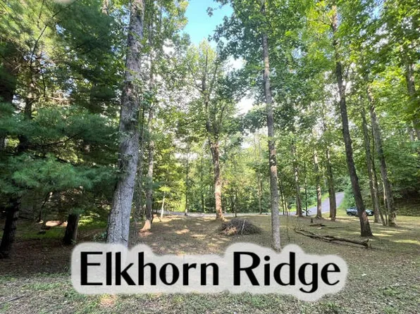 1153 Elkhorn Ridge Dr, Franklin, NC 28734