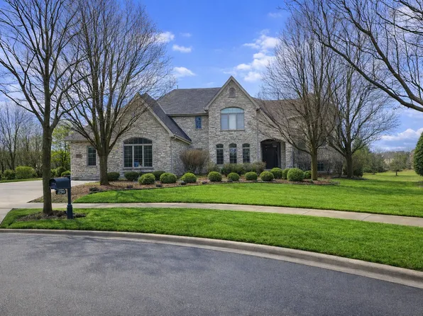 22542 Swanstone Ct, Frankfort, IL 60423