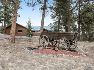 601 Old Corral Rd, Bailey, CO 80421