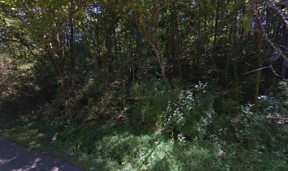 2nd image of 1008 McCubbins Rd