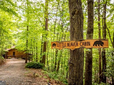 137 Little Beaver Dr, Cherry Log, GA, 30522