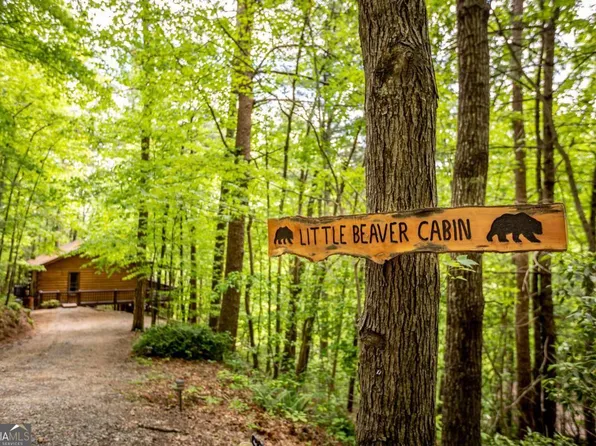 137 Little Beaver Dr, Cherry Log, GA 30522