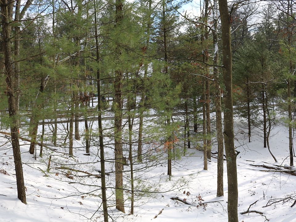 Facing East Near South Line