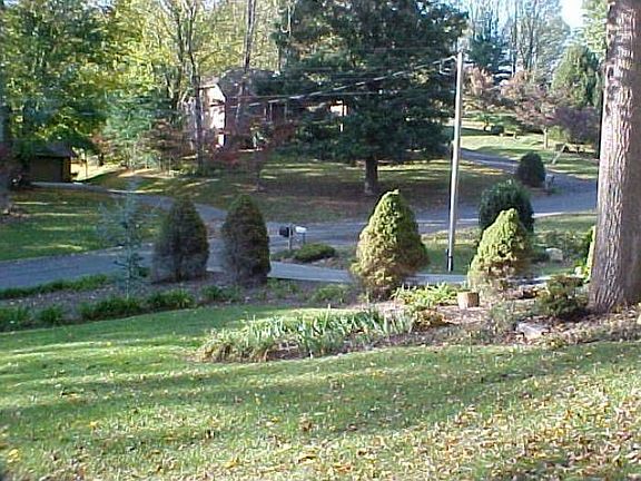 Landscaping